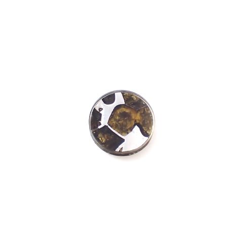 パラサイト隕石Sericho トリプレット 発見地:ケニア 4.07ct[240527644]11.9x11.9mm前後