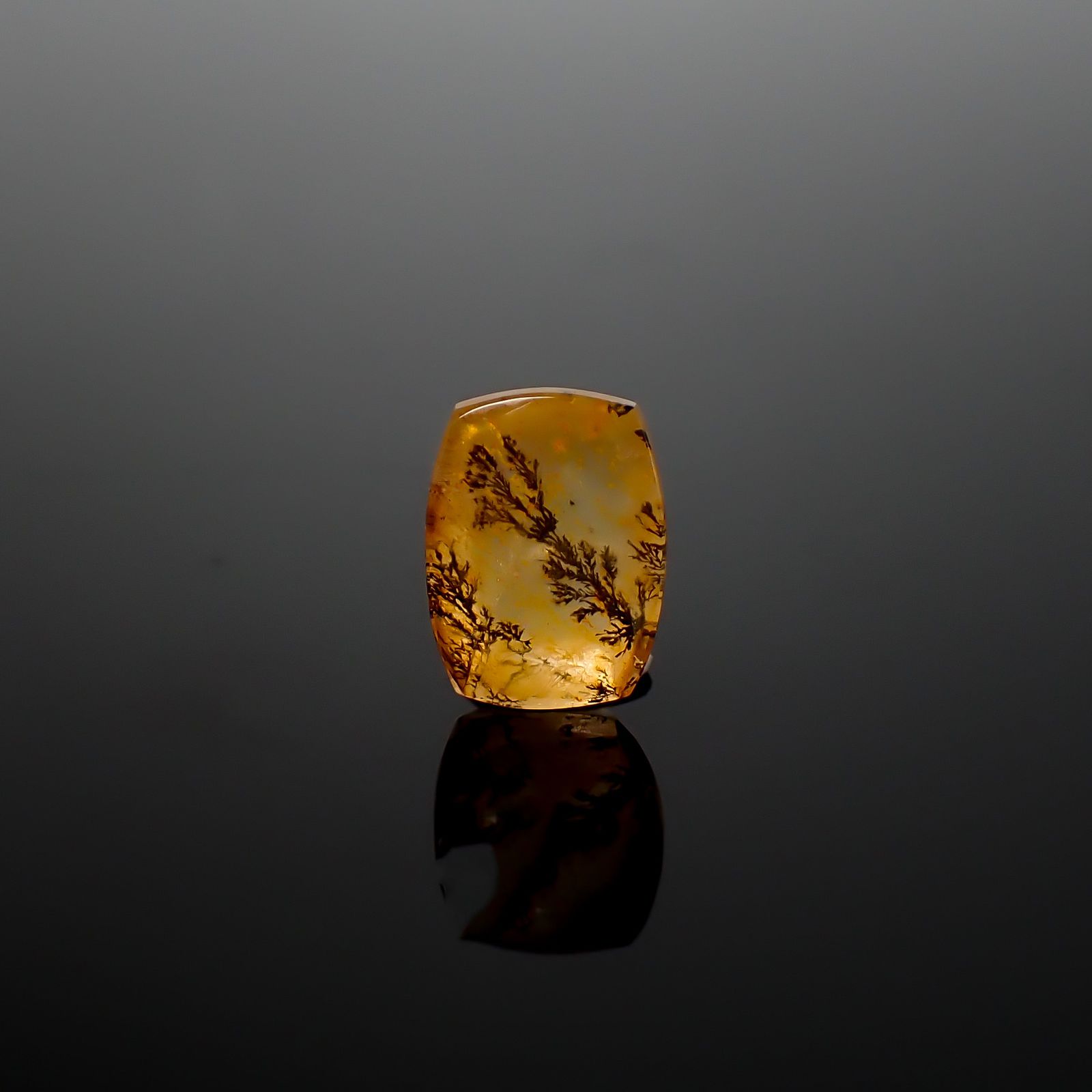 デンドリチッククォーツ ブラジル産 3.04ct / 10.5x7.9mm前後 [260832743]