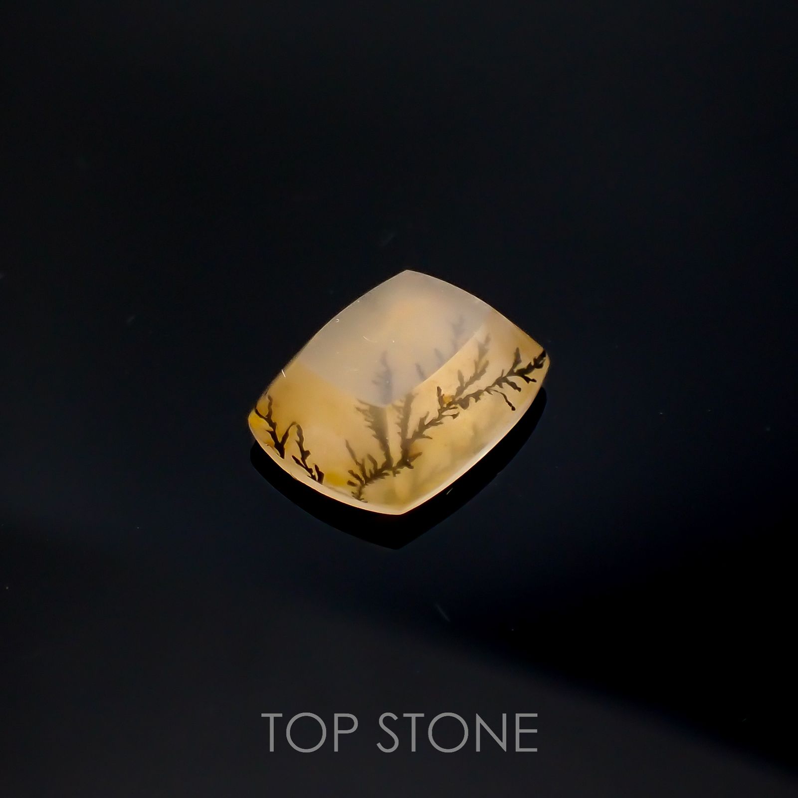 デンドリチッククォーツ ブラジル産 3.64ct[220616709]11.8x9.1mm前後