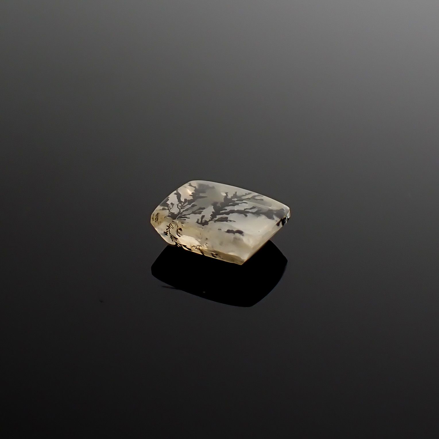 デンドリチッククォーツ ブラジル産 1.22ct / 7.7x6.1mm前後 [260832746]