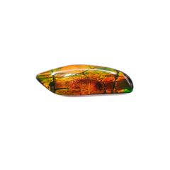 ◇フリーフォーム◇アンモライト トリプレット カナダ産 24.10ct [220817484]43.5x13.8mm前後