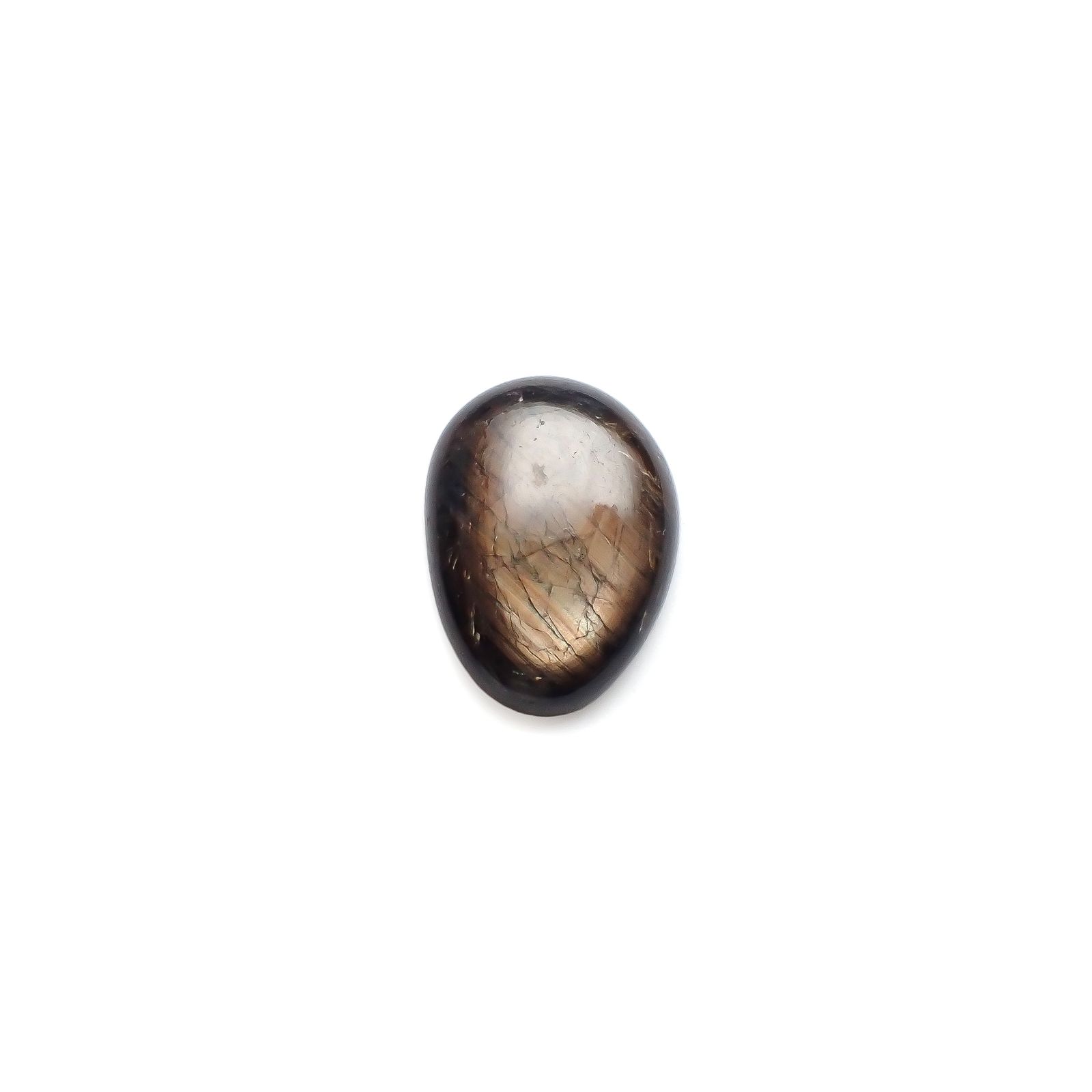 ◇フリーフォーム◇ゴールドシーンスターサファイア ケニア産 22.42ct[240527499]20.9x15.5mm前後