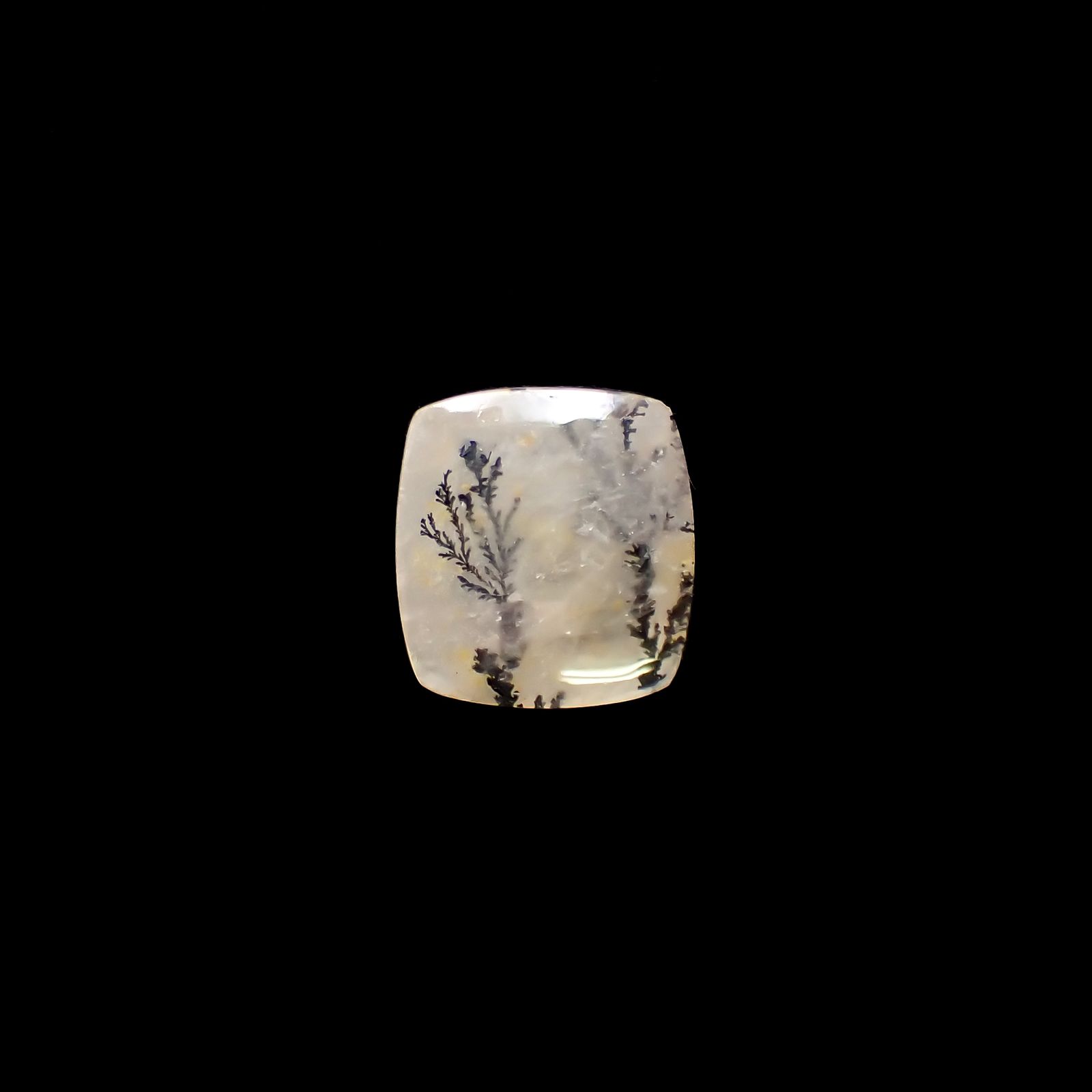 デンドリチッククォーツ ブラジル産 3.70ct[231224900]11.7x10.8mm前後