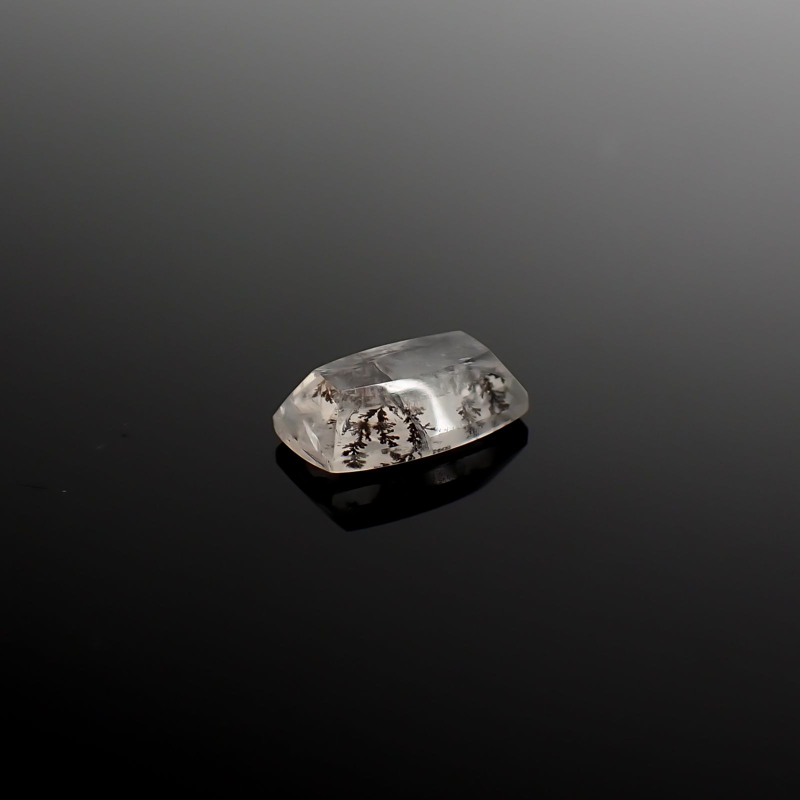デンドリチッククォーツ ブラジル産 3.24ct / 12.3x7.5mm前後 [260832748]