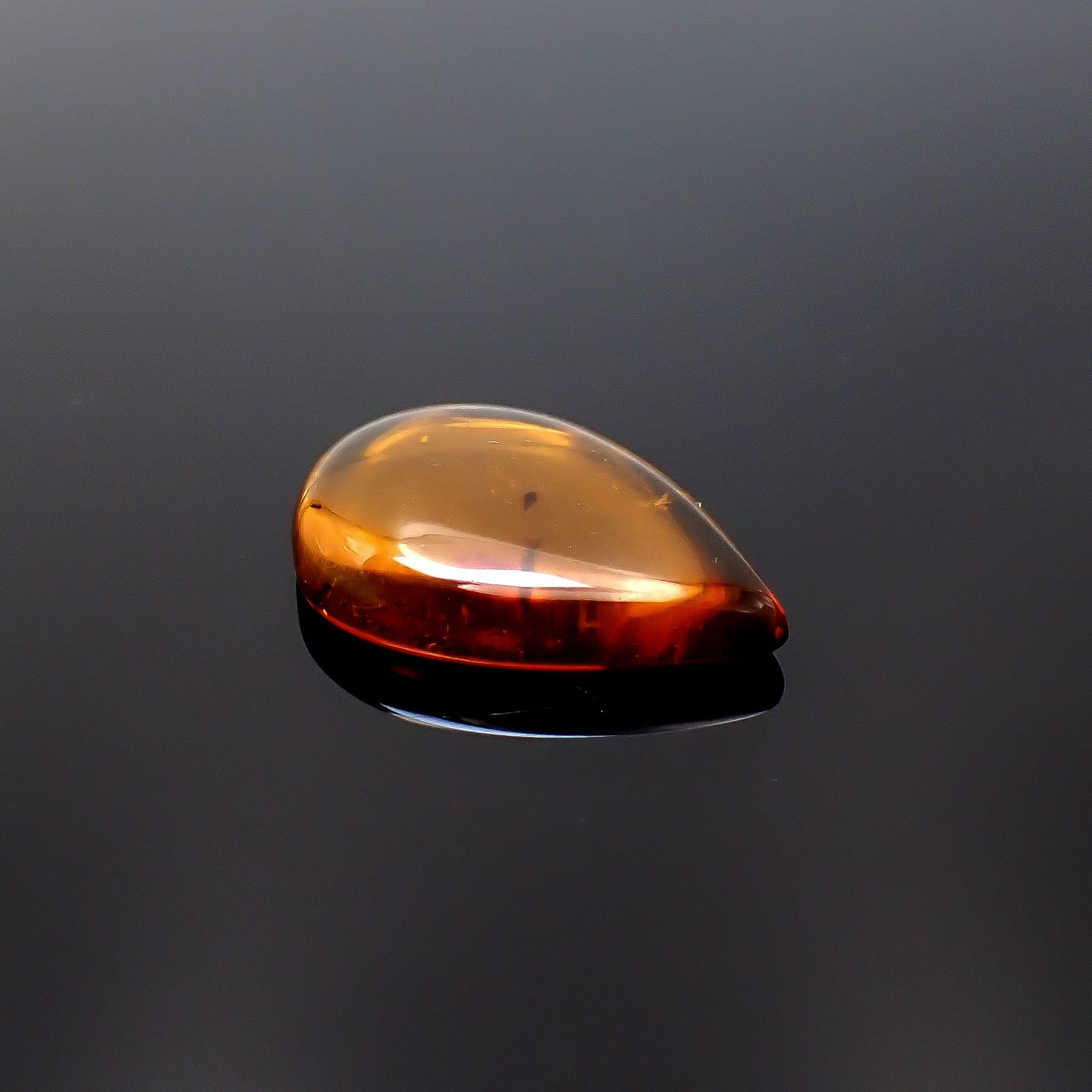 虫入り琥珀 コロンビア産 13.56ct [221018546]30.9x21.8mm前後