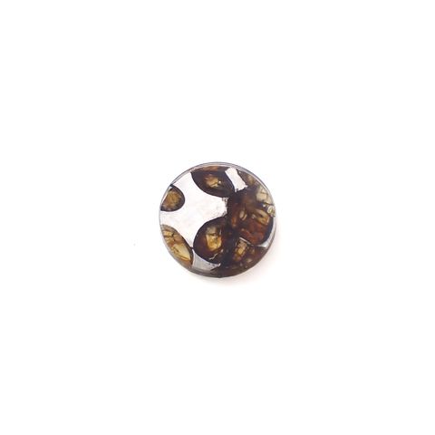 パラサイト隕石Sericho トリプレット 発見地:ケニア 3.53ct[240527647]12.1x12.1mm前後