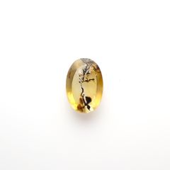 デンドリチッククォーツ ブラジル産 6.66ct[230421733]15.8x10.8mm前後
