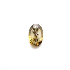 デンドリチッククォーツ ブラジル産 6.58ct[230823242]17.7x11.6mm前後