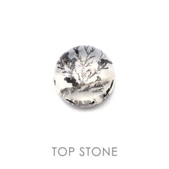 デンドリチッククォーツ ブラジル産 ルース 22.74ct[20084948]17.7×17.8mm前後