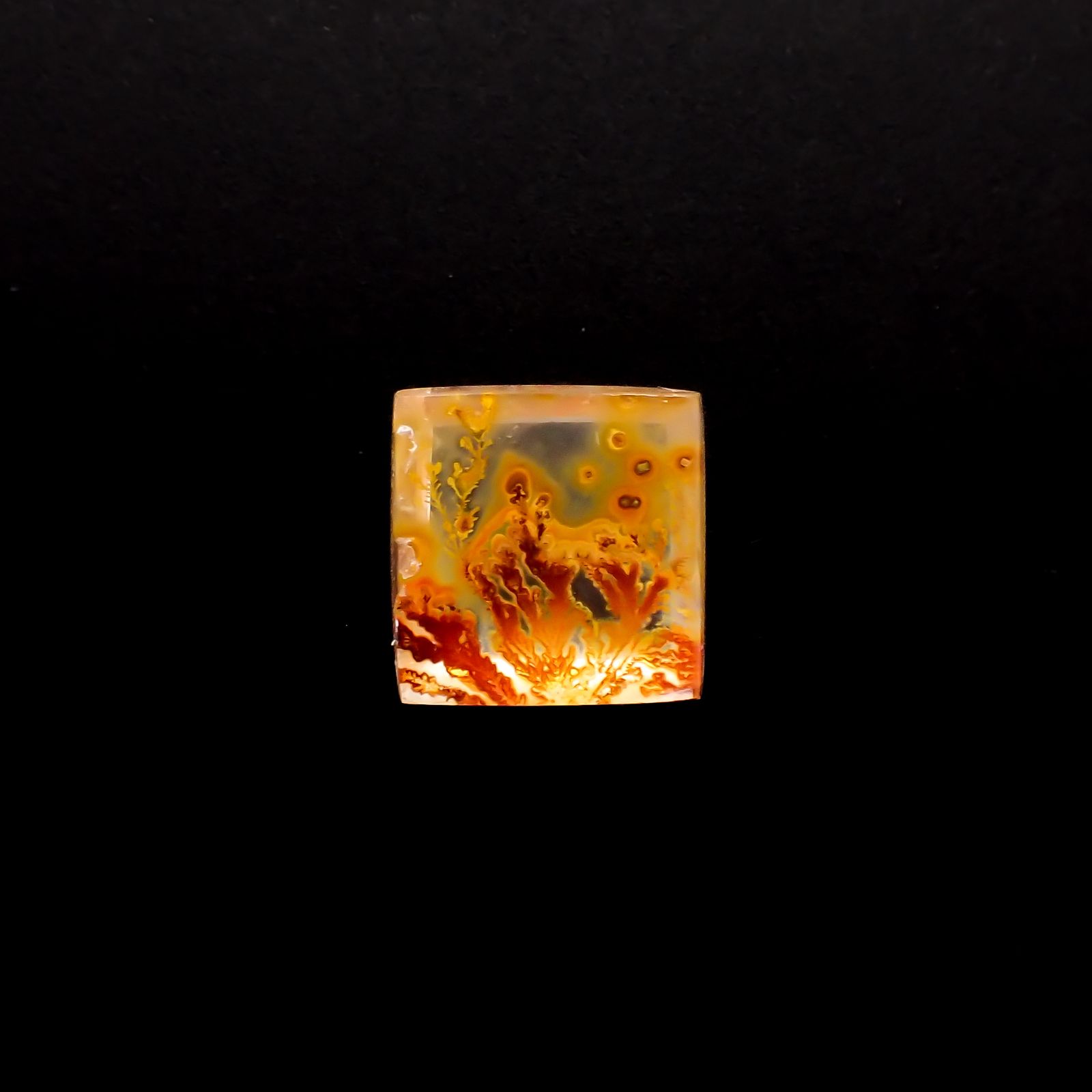 レッドデンドリチッククォーツ ブラジル産 11.14ct[230321125]12.8x12.5mm前後