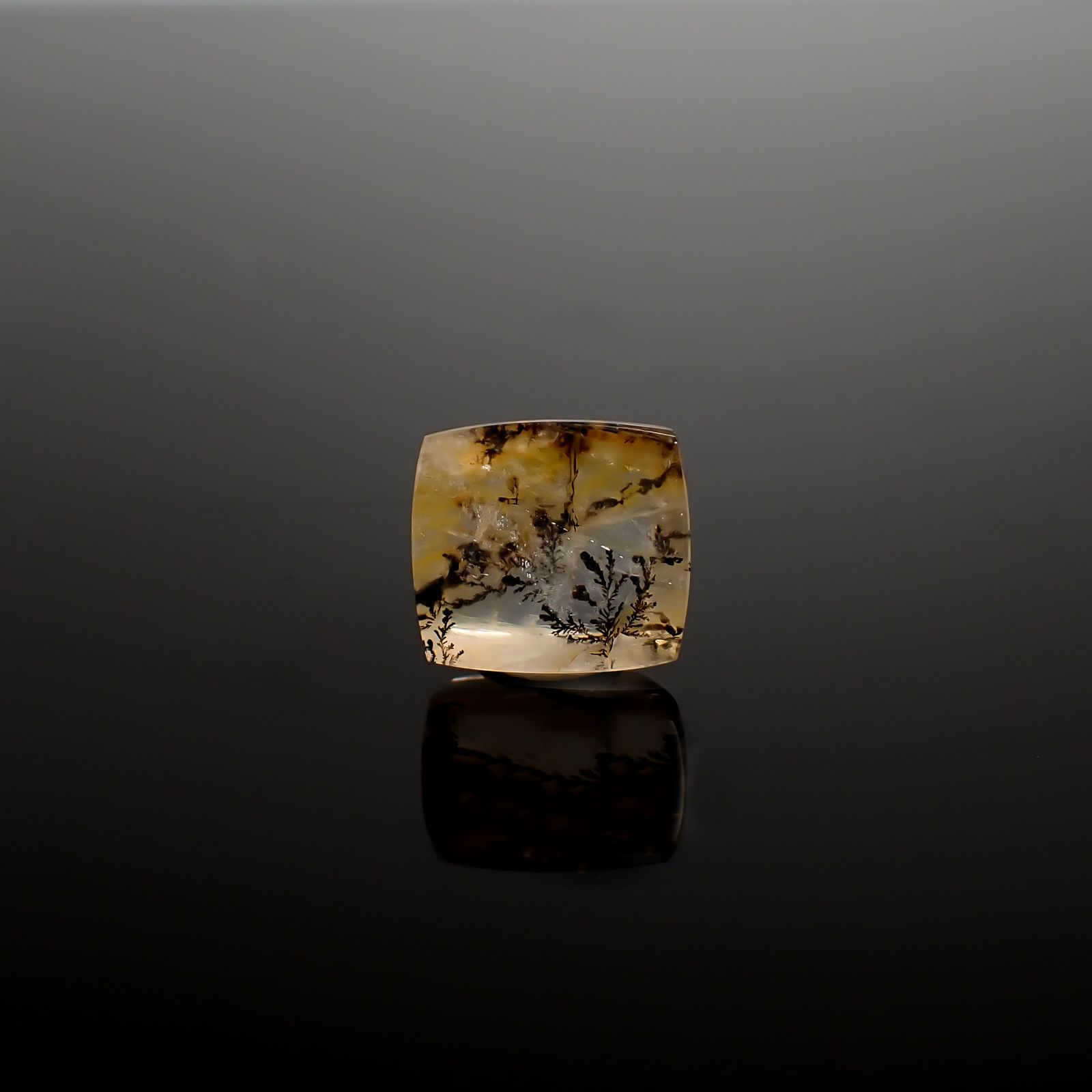 デンドリチッククォーツ ブラジル産 6.35ct / 12.5x11.3mm前後 [260832742]