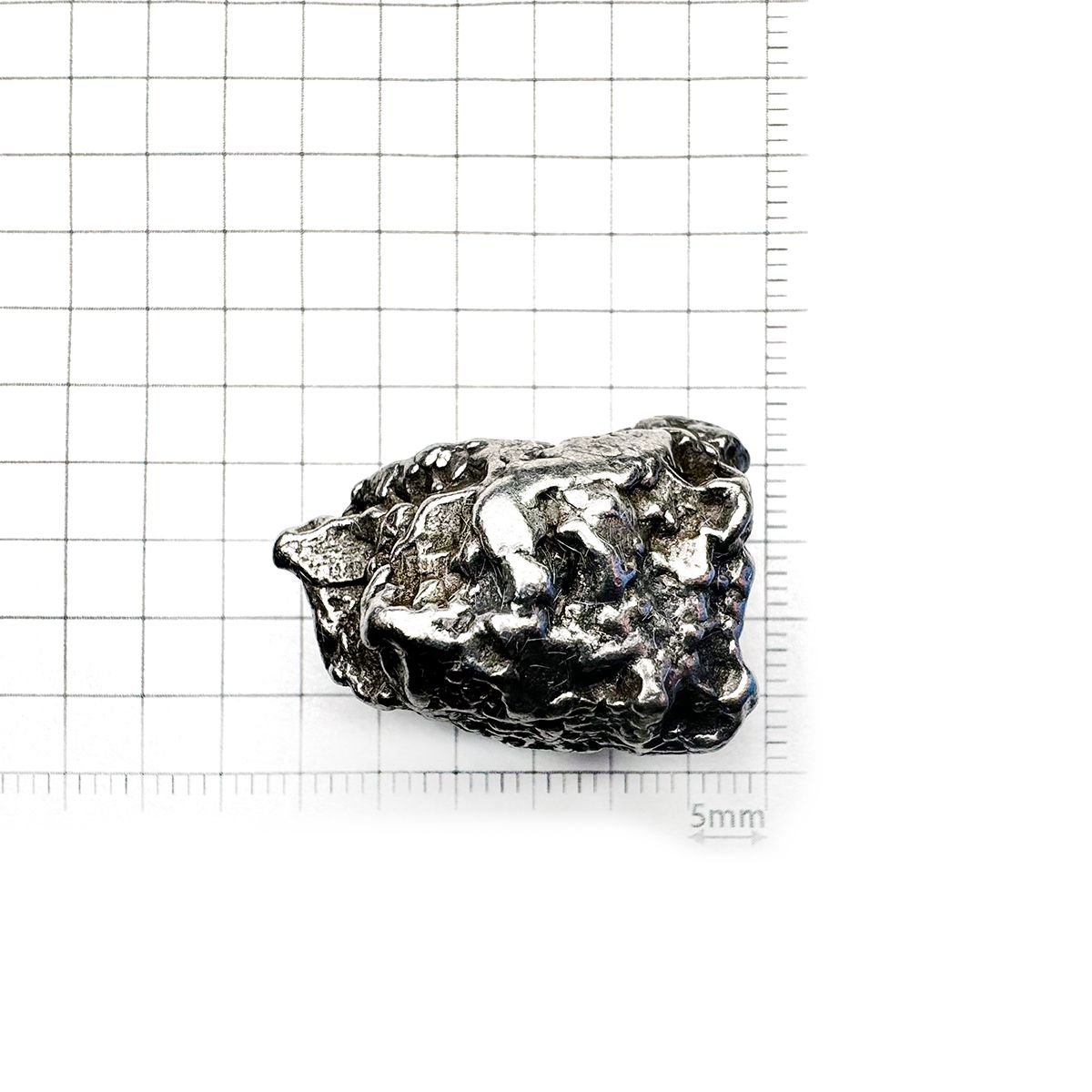 カンポ・デル・シエロ 隕石 原石 発見地：アルゼンチン 120.03ct [240125862]26.4x19.2mm前後
