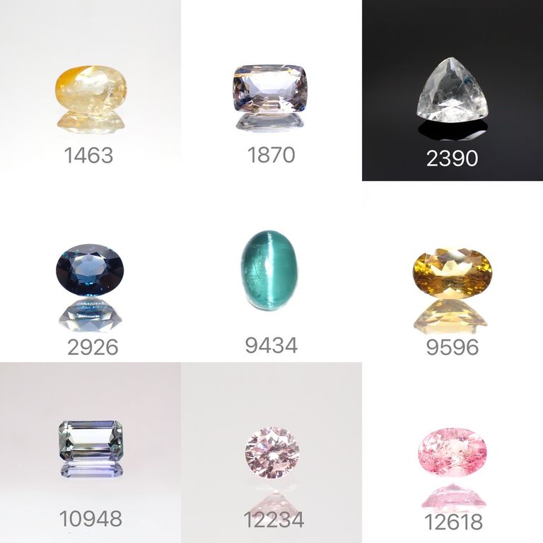 21/10/26 新発売！194アイテム