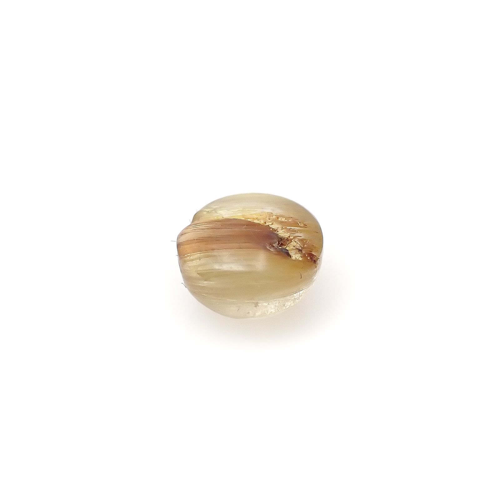 ルチルクオーツ キャッツアイ ブラジル産 1.98ct[240427334]7.3x7.2mm前後