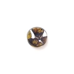 パラサイト隕石Sericho トリプレット 発見地:ケニア 4.15ct[240527645]11.9x11.9mm前後