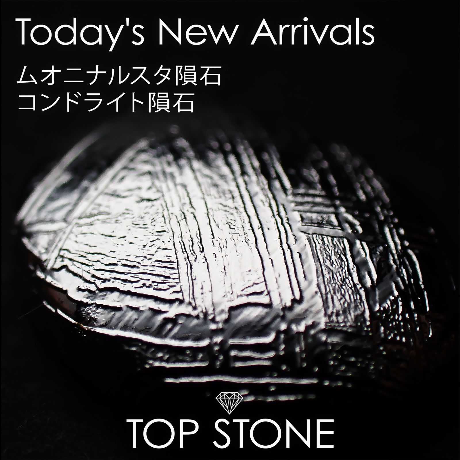 24 11月20日（水） 新着 | ムオニナルスタ隕石 / コンドライト隕石 | TOP STONE(トップストーン)