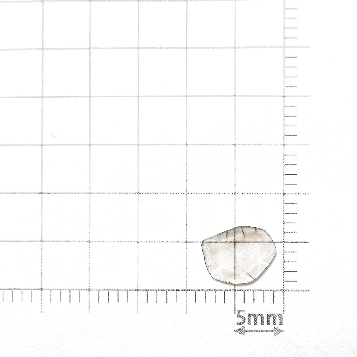◇ローズカット◇スライスダイヤモンド(宝石名ダイアモンド) 0.24ct 識別済[231024023]7.6x5.8mm前後