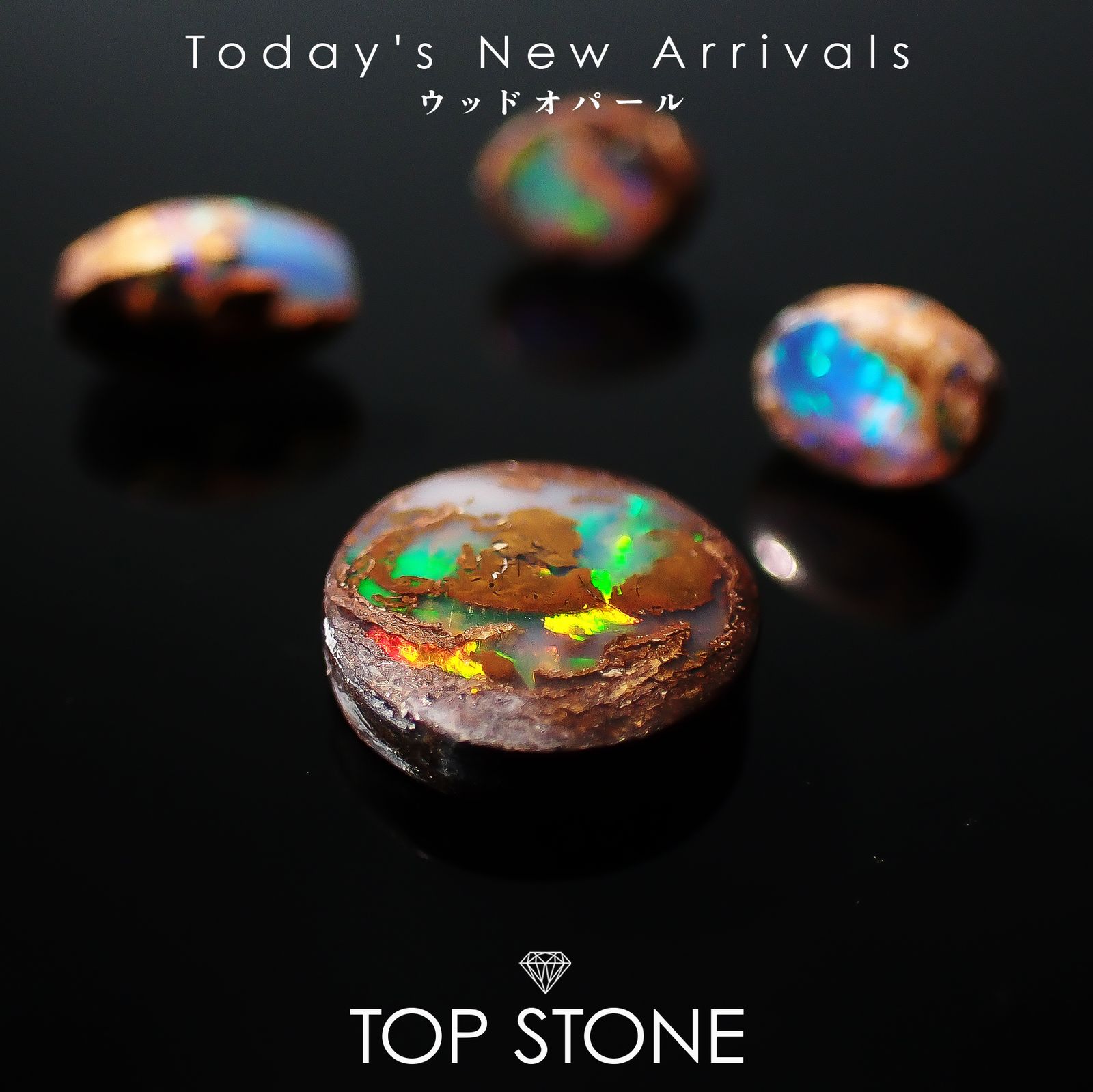 25 10月22日（水）新着 | ウッドオパール | TOP STONE(トップストーン)