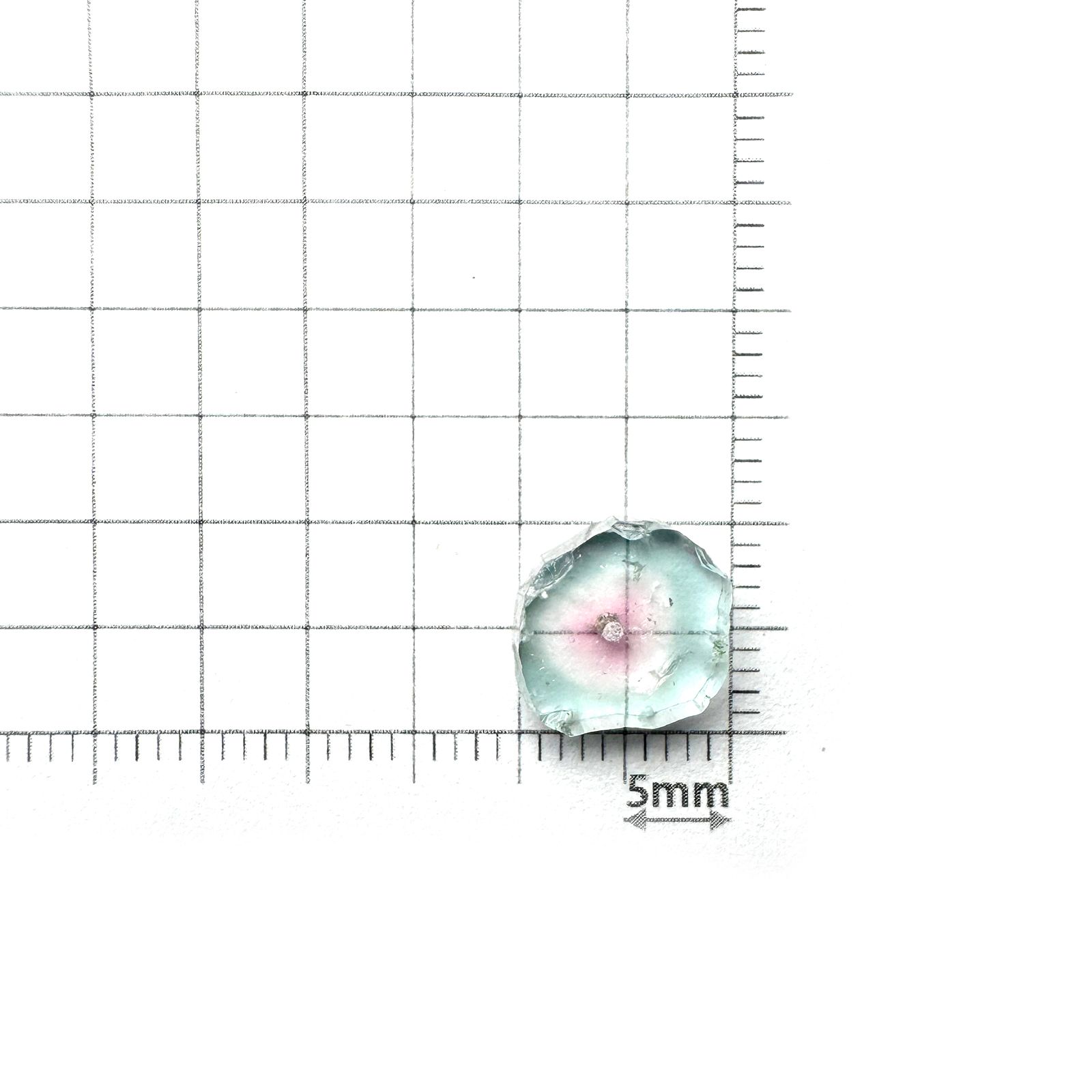 ウォーターメロントルマリン 原石スライス アフガニスタン産 3.23ct [250430214]11x9.6mm前後