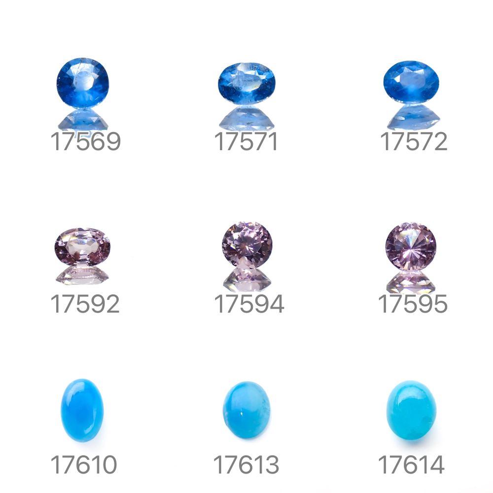 22/9/23 新発売!18アイテム
