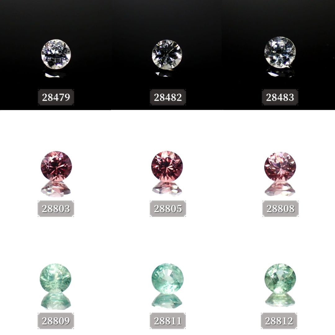 24 9月17日（火）新着18アイテム | TOP STONE(トップストーン)
