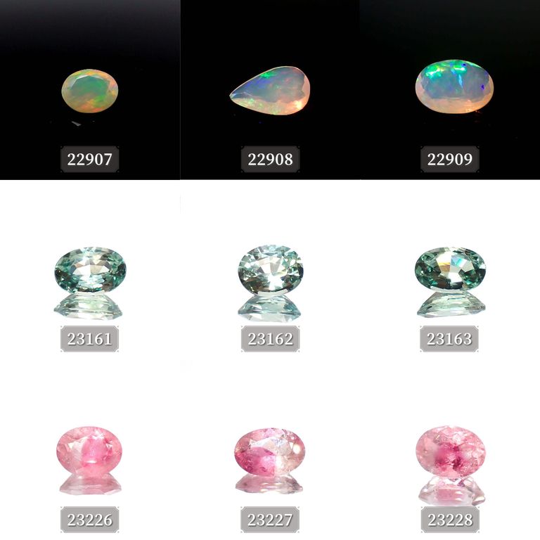 ’23 10月1日（日）新着9アイテム