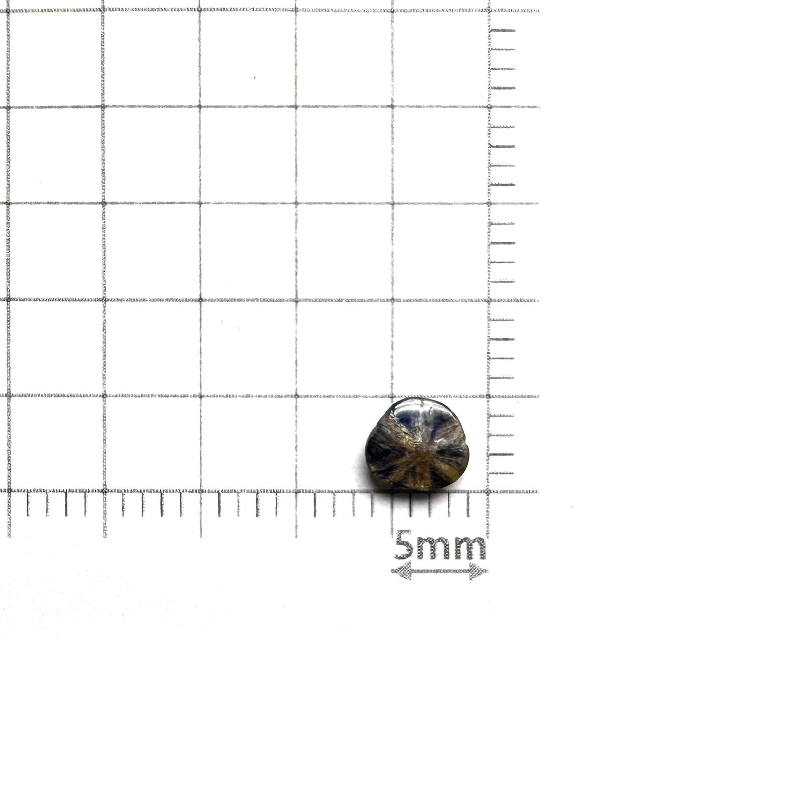 トラピッチェサファイア 原石スライス磨き ビルマ産 0.49ct [250430183]5.3x4.7mm前後