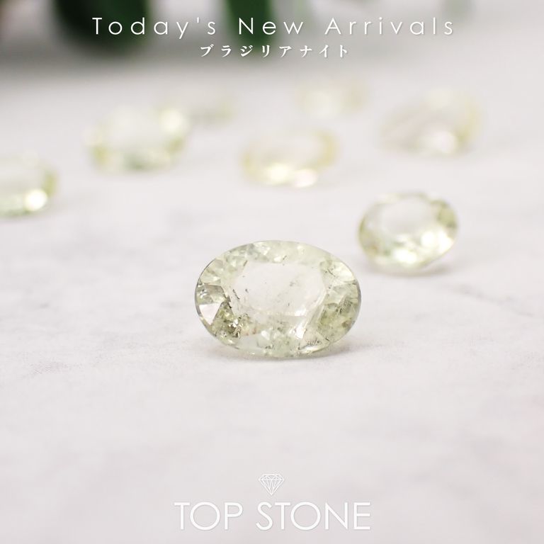 ’26 2月8日（日）新着 | ブラジリアナイト