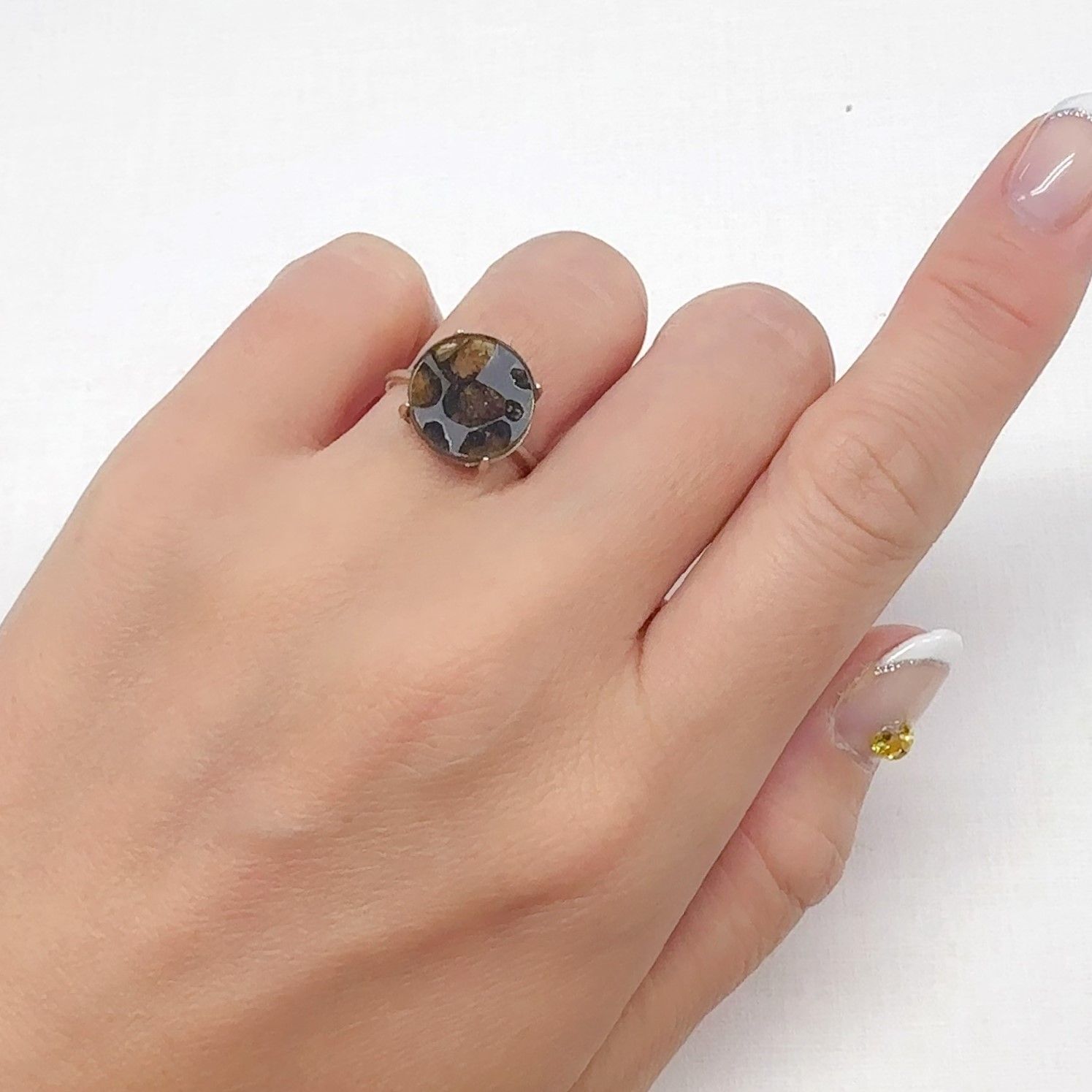 パラサイト隕石Sericho トリプレット 発見地:ケニア 3.69ct[240527651]11.9x11.9mm前後