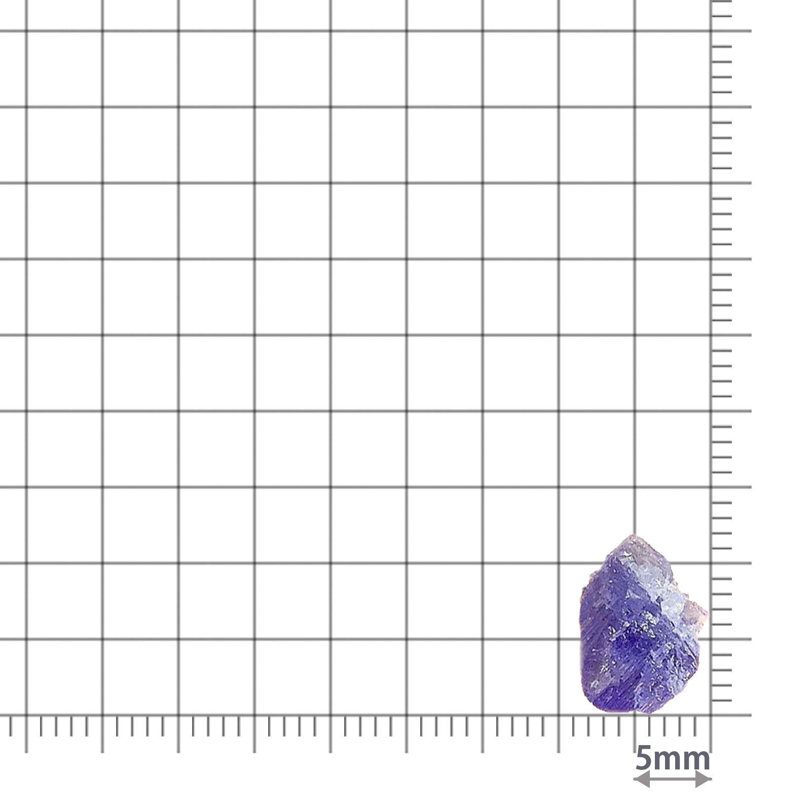バイカラータンザナイト 原石 タンザニア産 3.80ct / 12.2x8.1mm前後 [220515863]