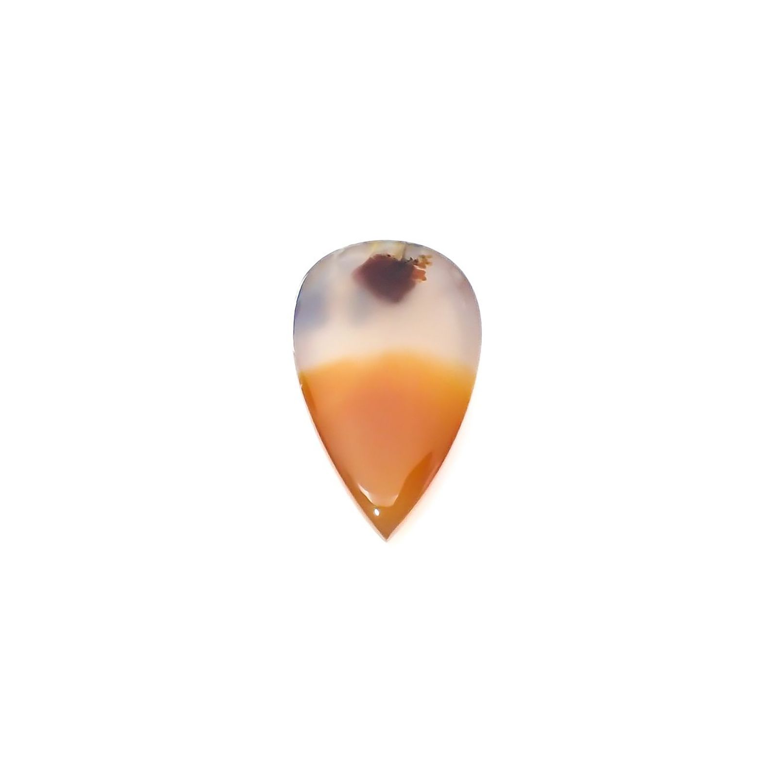 モンタナアゲート アメリカ・モンタナ州産 12.60ct / 23.2x14.2mm前後 [260127121]