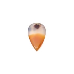 モンタナアゲート アメリカ・モンタナ州産 12.60ct / 23.2x14.2mm前後 [260127121]