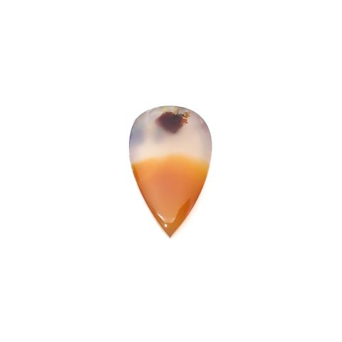 モンタナアゲート アメリカ・モンタナ州産 12.60ct / 23.2x14.2mm前後 [260127121]