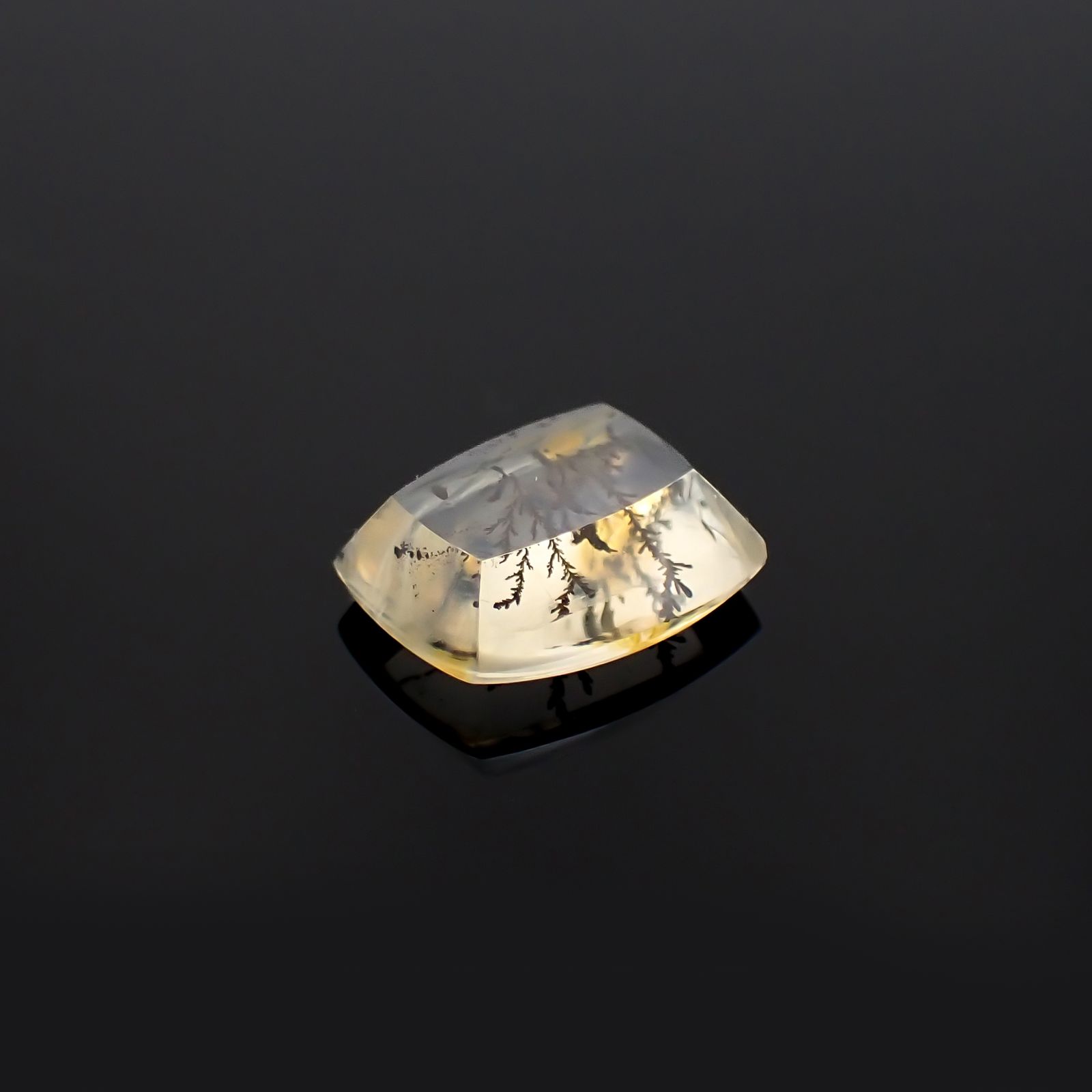 デンドリチッククォーツ ブラジル産 5.93ct[230321072]11.2x13.7mm前後