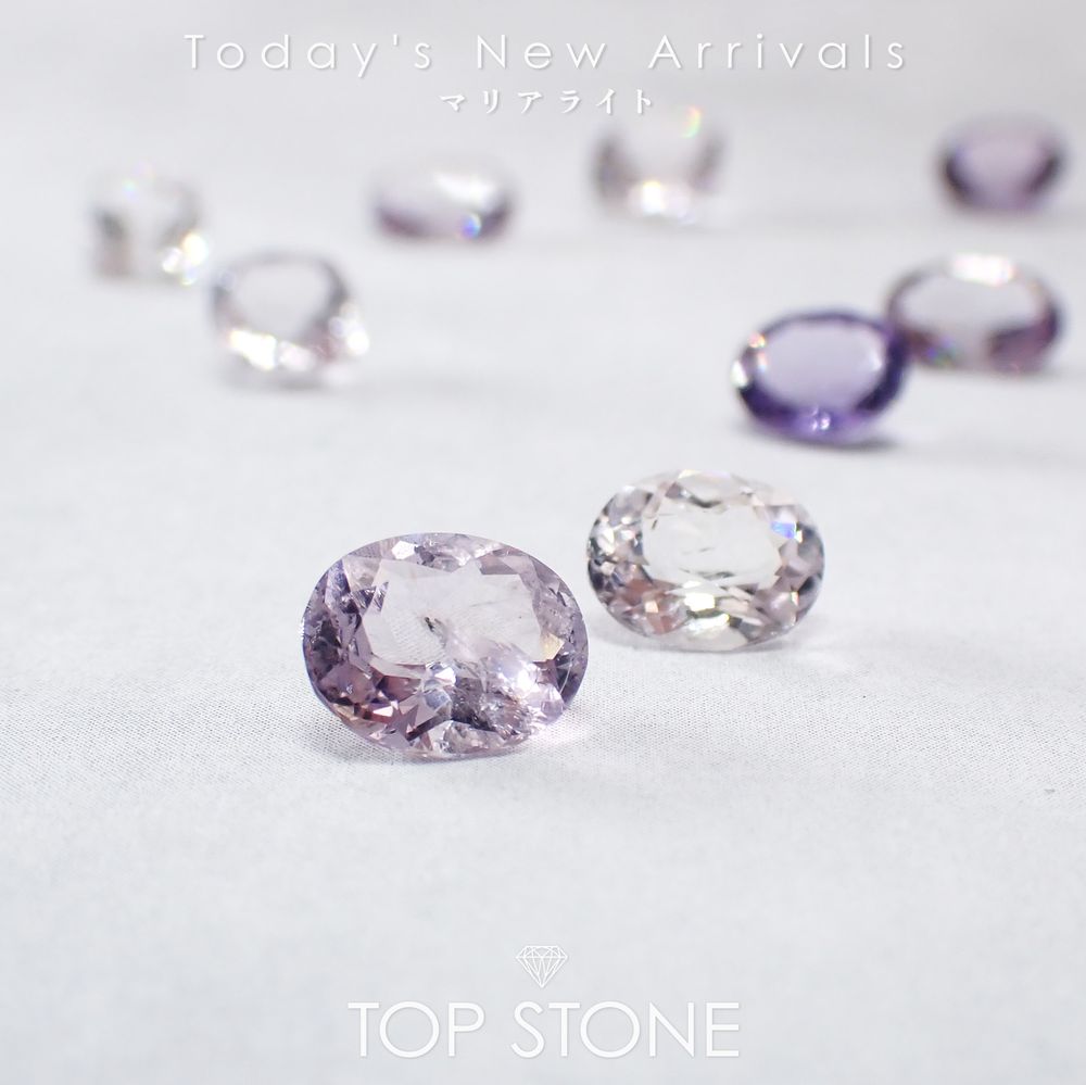 ’25 11月17日（月）新着 | マリアライト