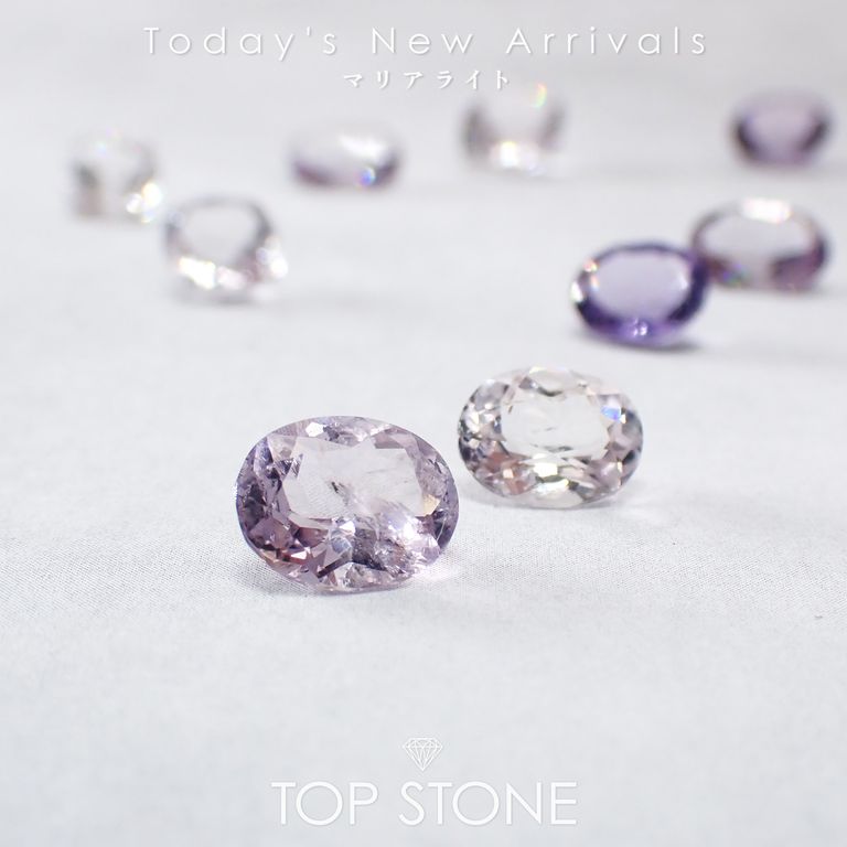 ’25 11月17日（月）新着 | マリアライト