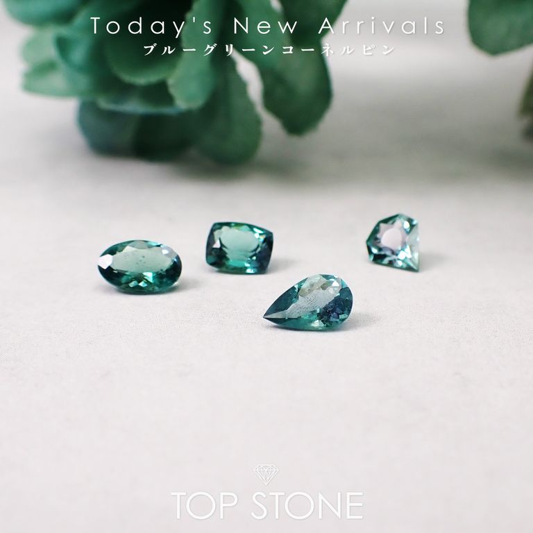 ’26 3月13日（金）新着 | ブルーグリーンコーネルピン