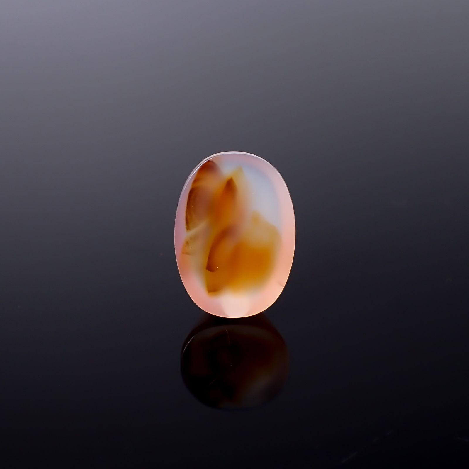 モンタナアゲート アメリカ・モンタナ州産 12.62ct / 21.1x14.9mm前後 [260832762]