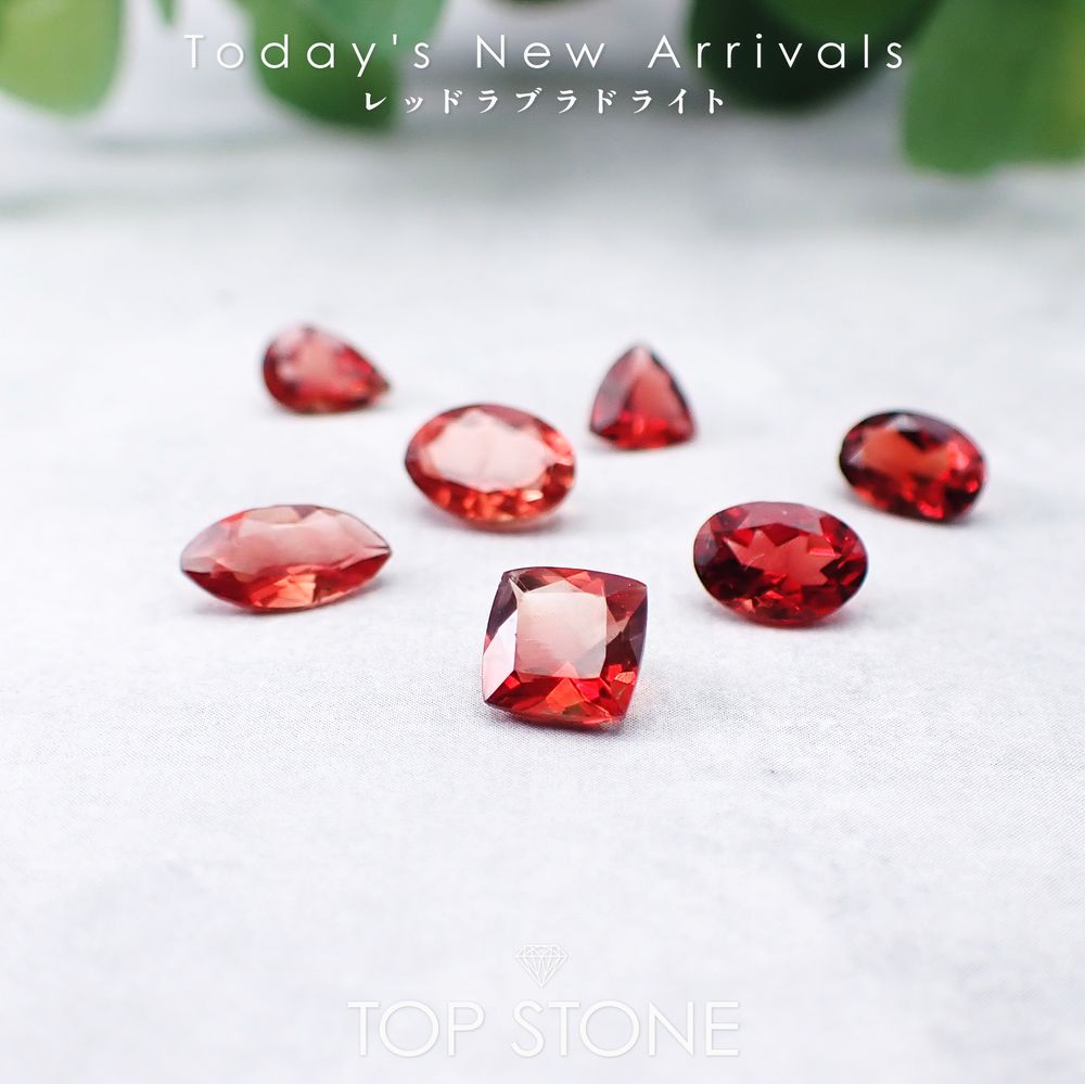 ’25 12月22日（月）新着 | レッドラブラドライト