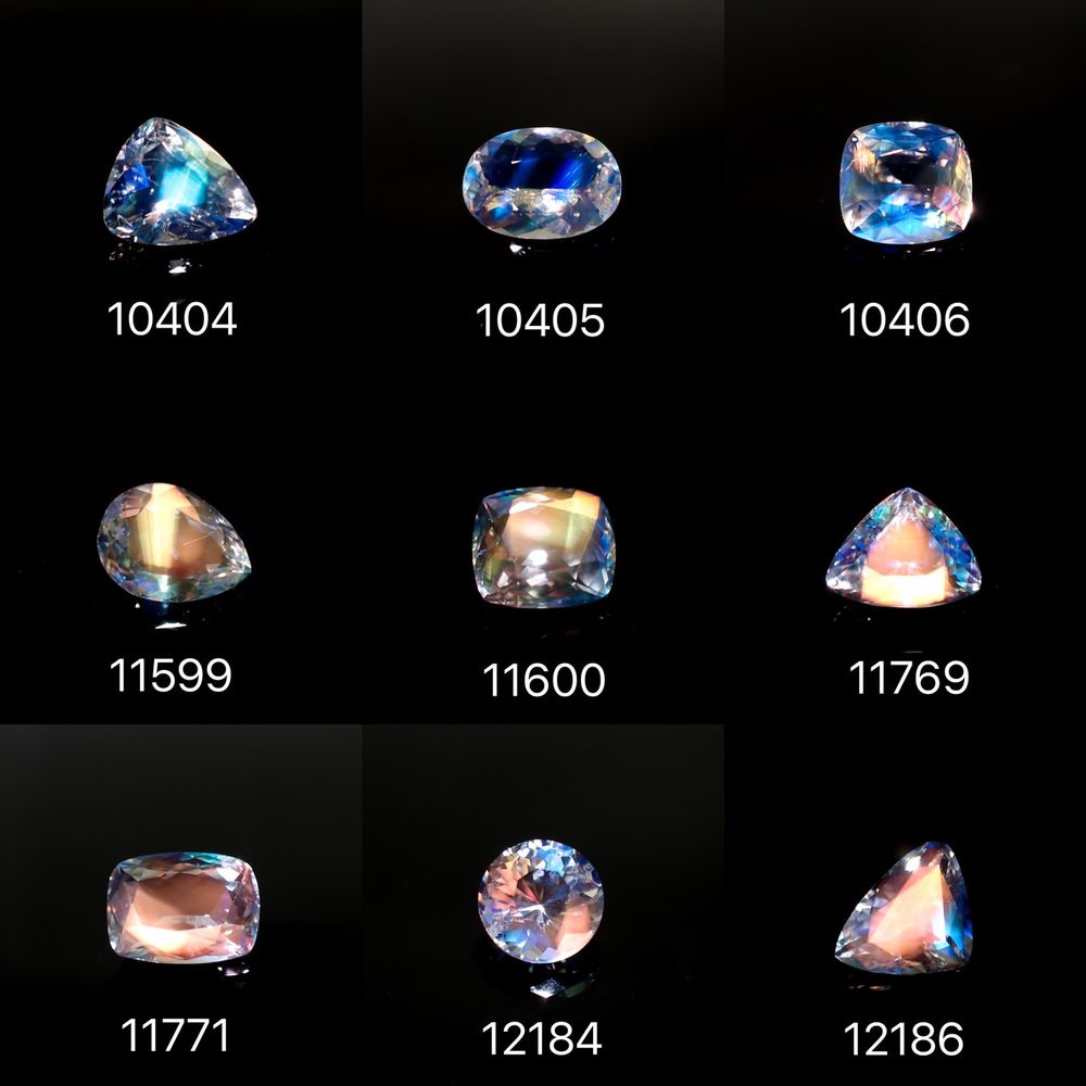 21/11/03 新発売！33アイテム