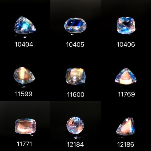 21/11/03 新発売！33アイテム