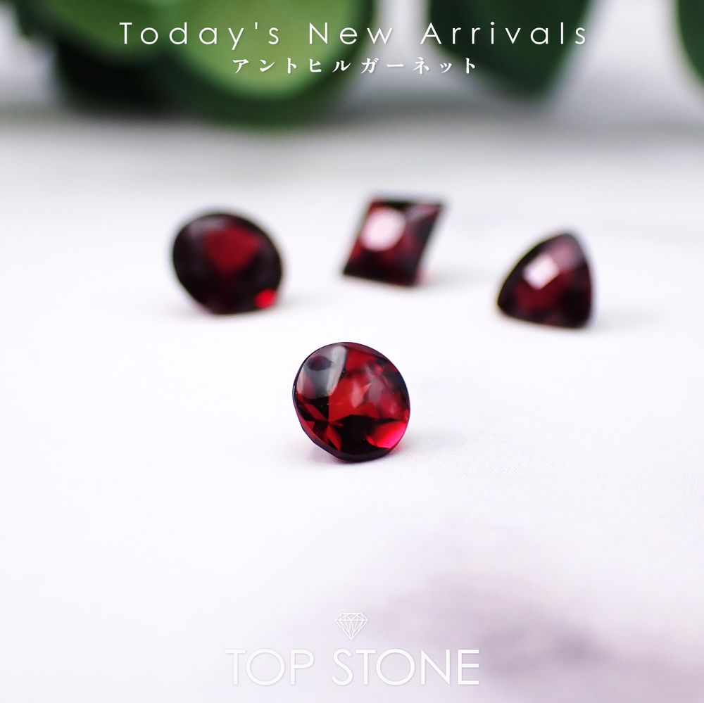 ’26 1月3日（土）新着 | アントヒルガーネット