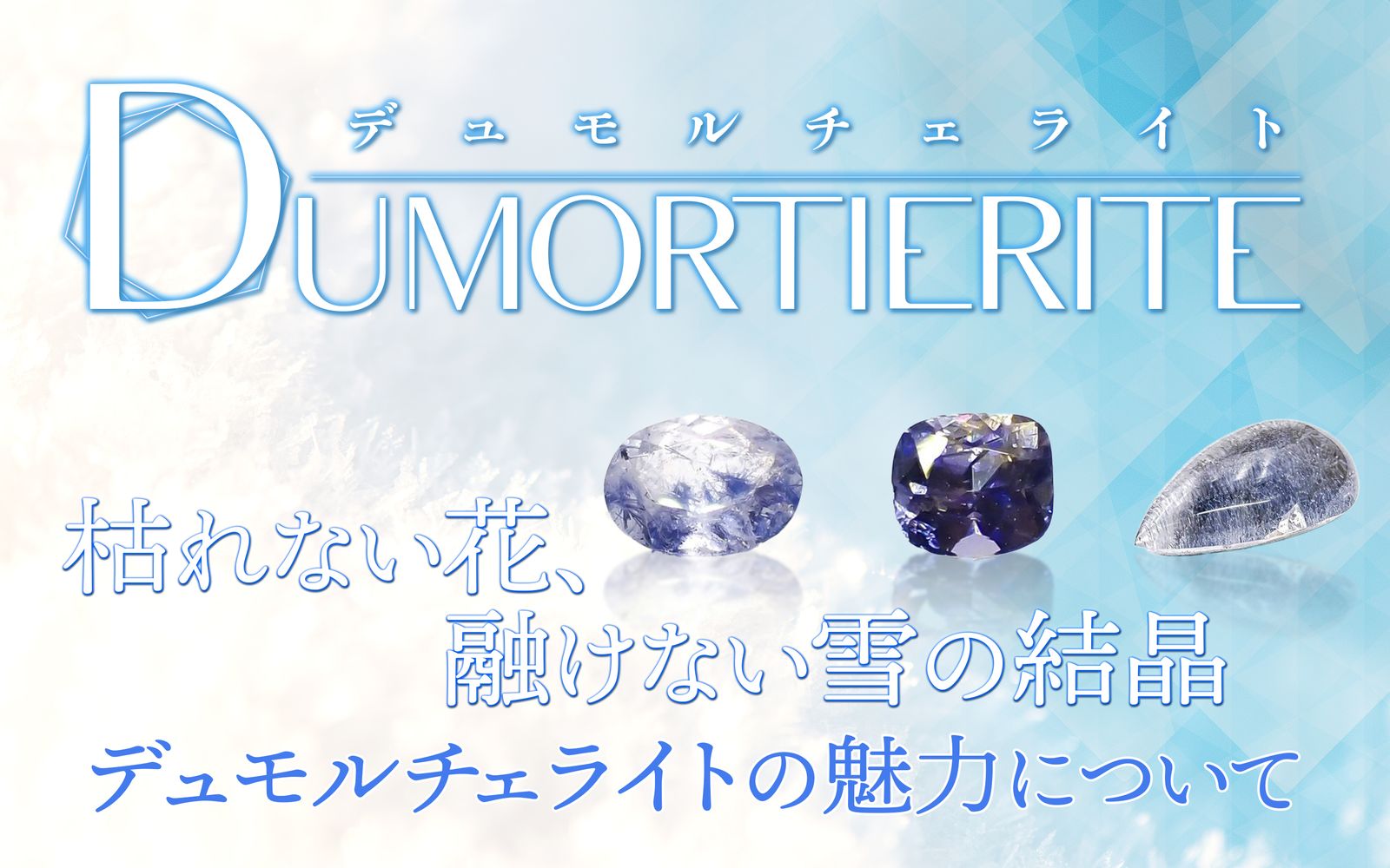 しっかりしてる！タンザナイトさん 20250502102639.png