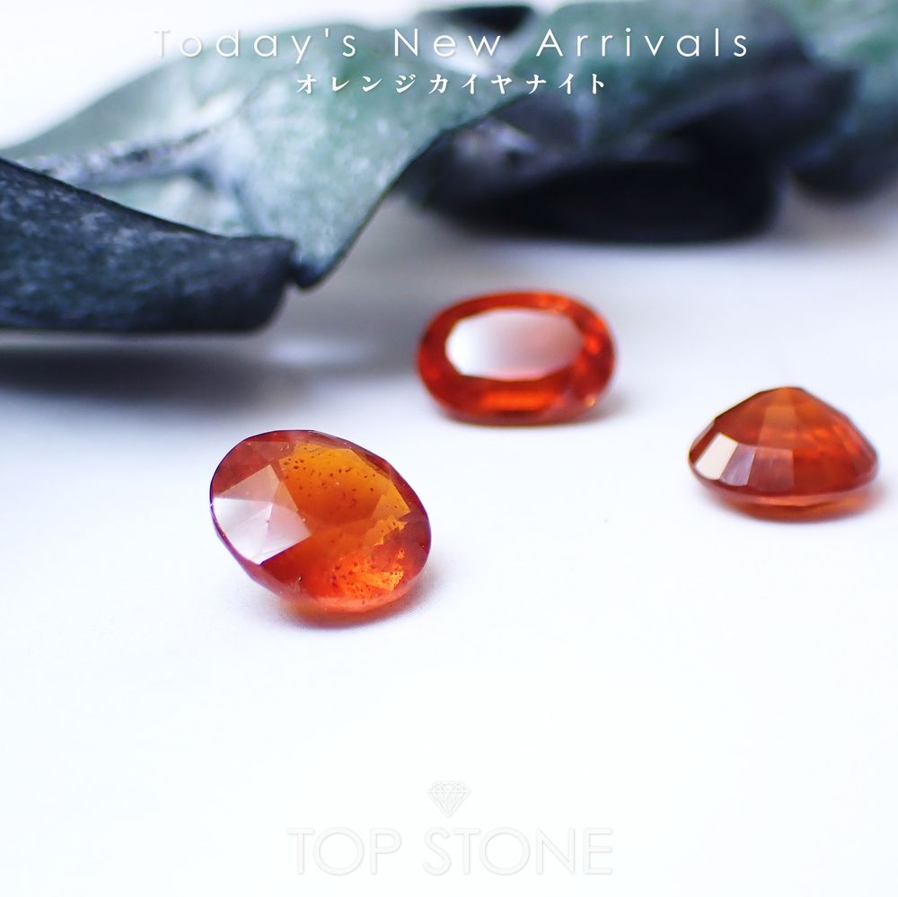 ’25 11月13日（木）新着 | オレンジカイヤナイト