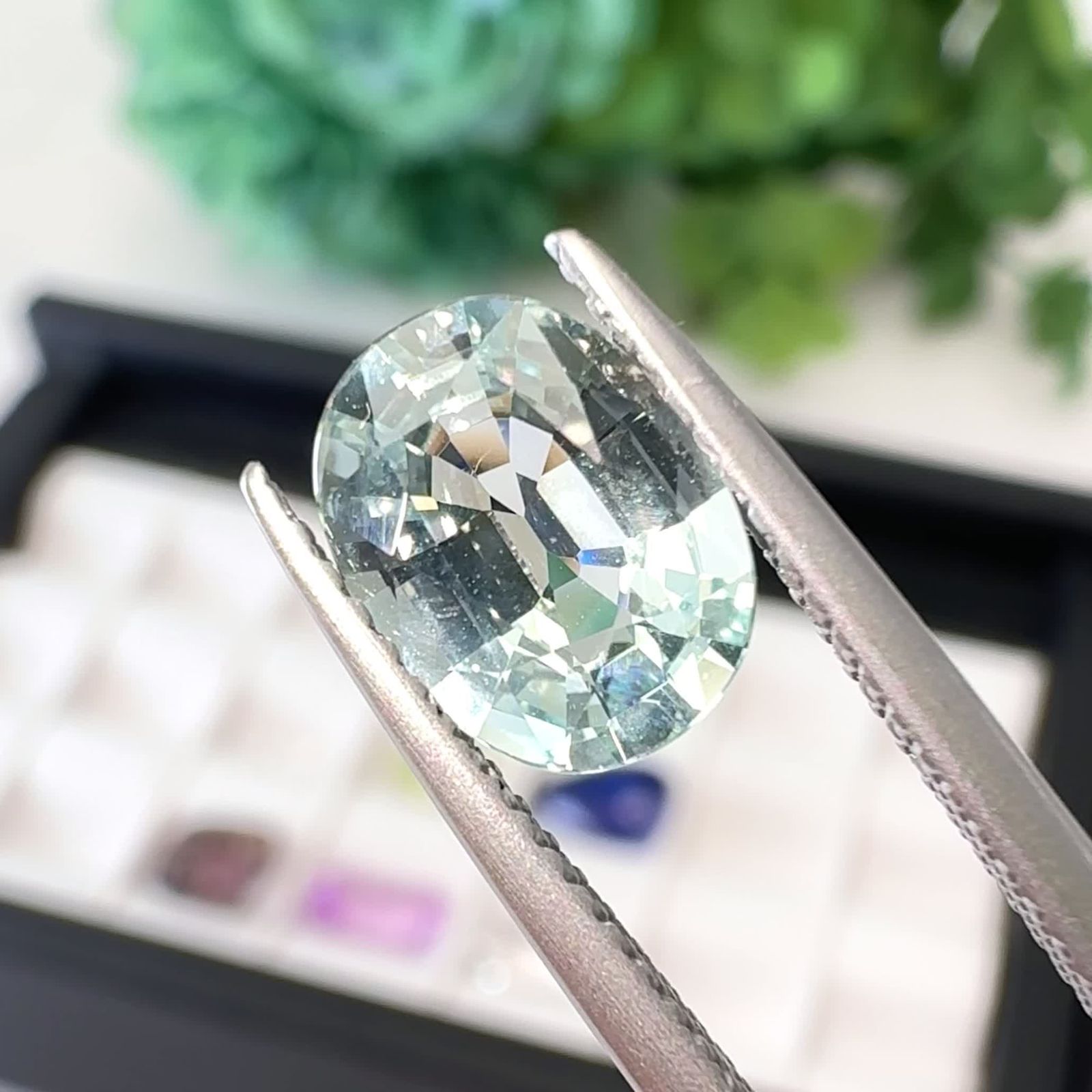 25 9月14日（日） 新着 | レアストーン・希少石特集 | TOP STONE