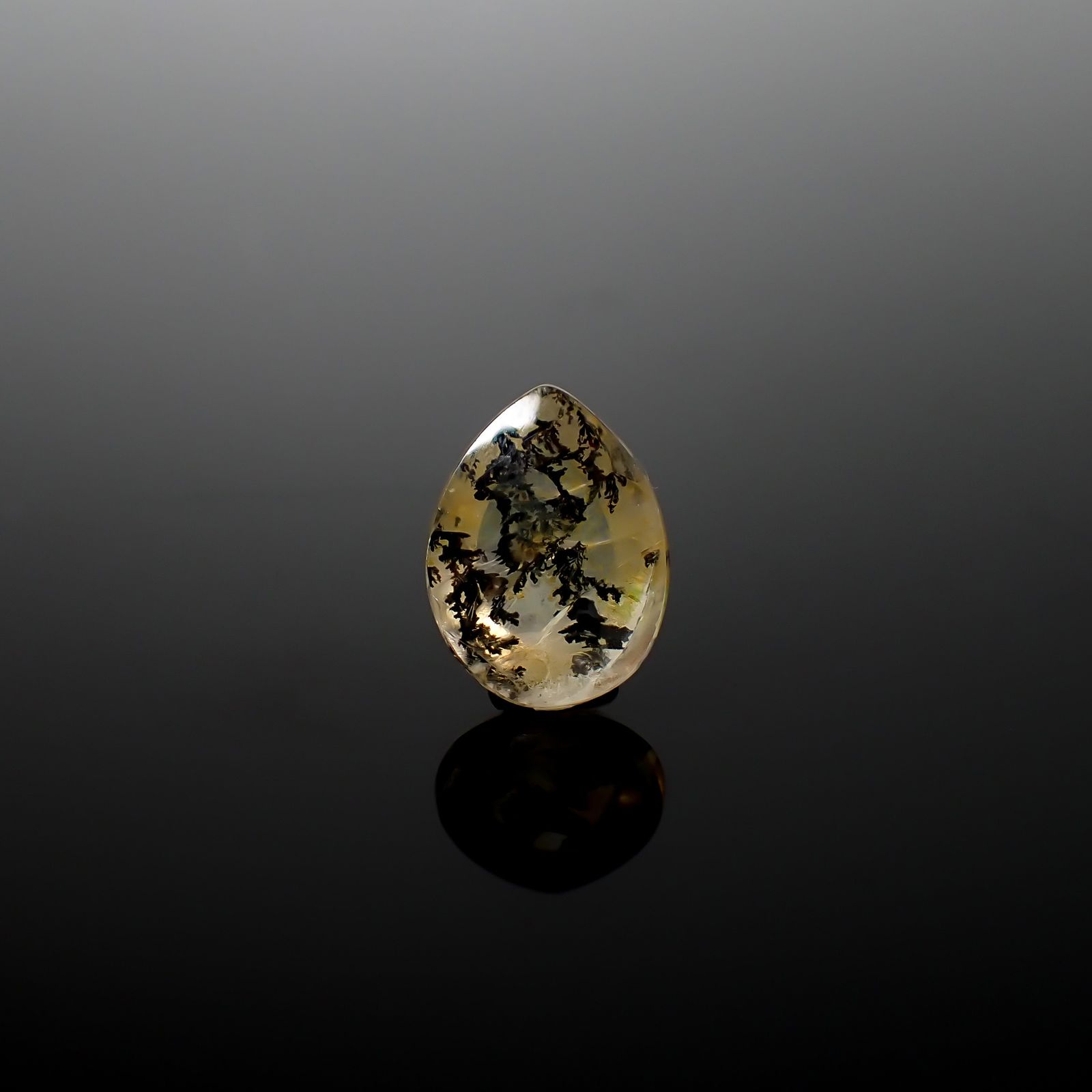 デンドリチッククォーツ ブラジル産 3.89ct / 13.2x9.9mm前後 [260832744]