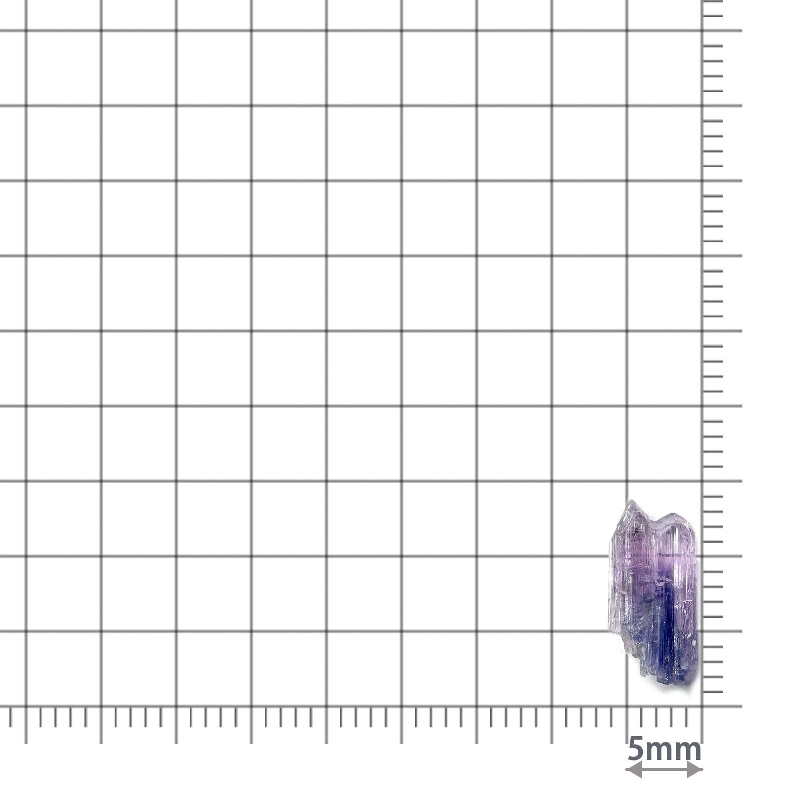 バイカラータンザナイト 原石 タンザニア産 2.63ct / 11.7x5.6mm前後 [260424983]