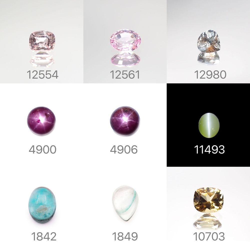 22/2/19 新発売!76アイテム