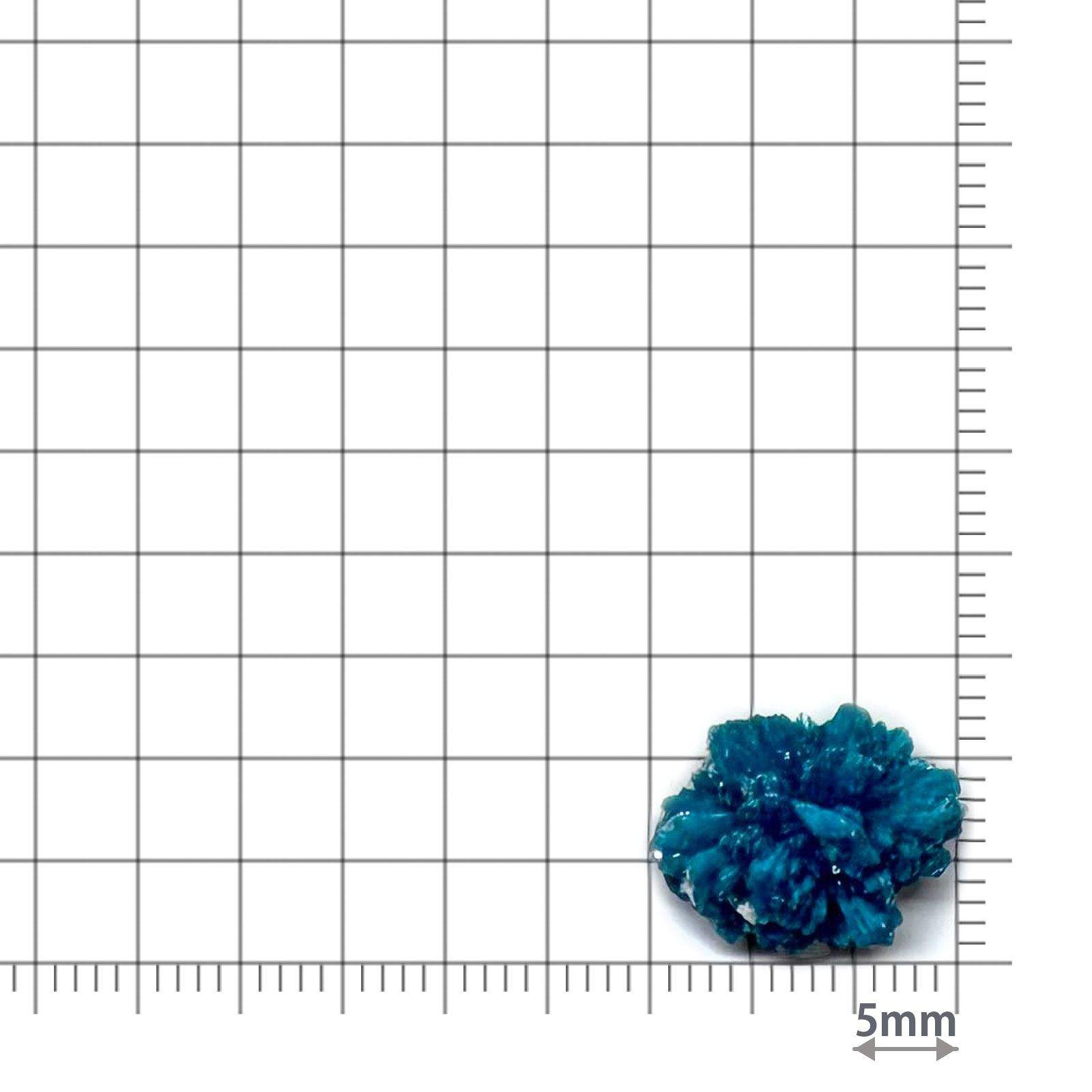 カバンサイト原石 インド産 6.63ct / 15.2x10.7mm前後 [260431948]