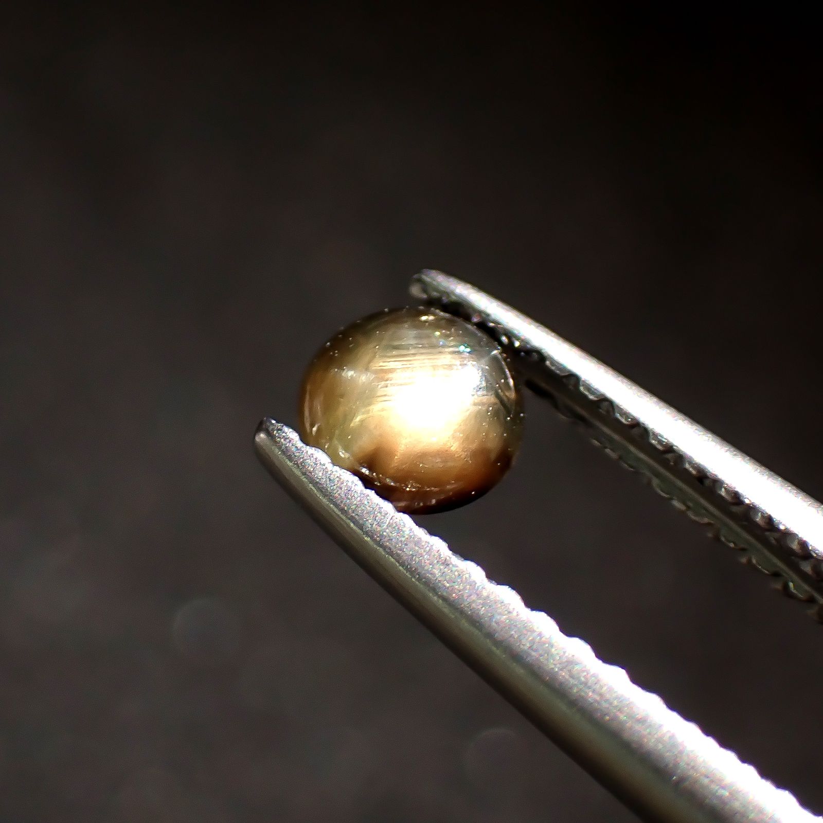 ゴールドシーンサファイア(宝石名シーン・サファイア)ケニア産 識別済 0.41ct / 4.5x4.5mm前後 [260816219]